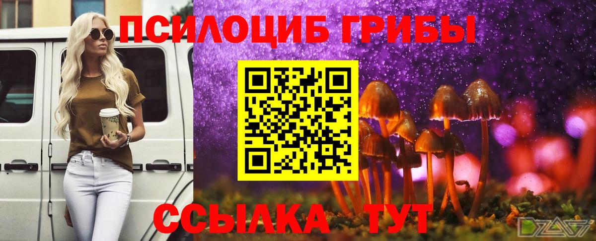 Псилоцибиновые грибы Cubensis Ирбит
