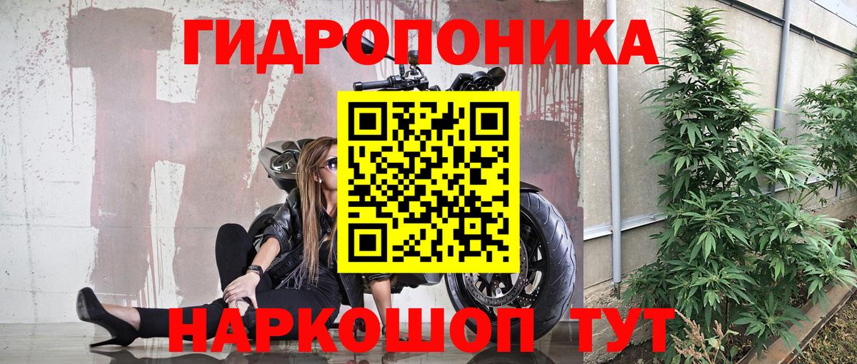 Бошки марихуана OG Kush  МАРИХУАНА ГИДРОПОН  Ирбит  Вход с VPN  МАРИХУАНА AK-47 